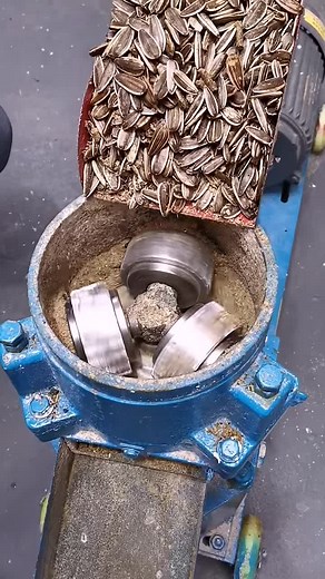 Breeding machinery 01 on TikTok