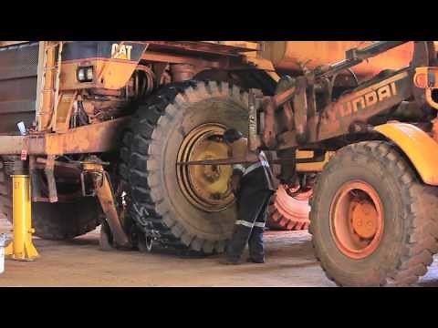 Cockatoo Island Short