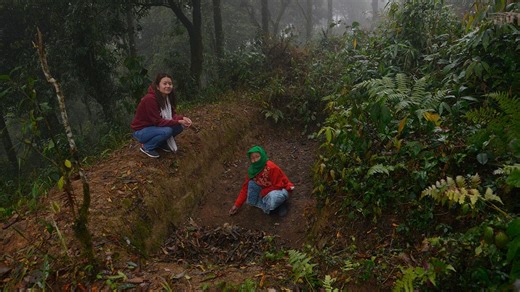 How Sikkim is giving citizens a say in forest conservation
