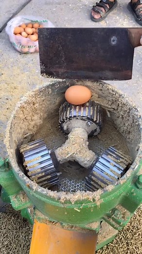 Industrial Egg Processing: How to Use Large Machines