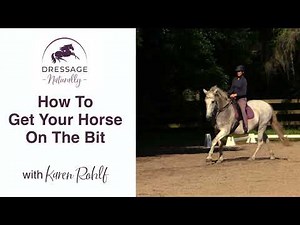 How To Get Your Horse On The Bit