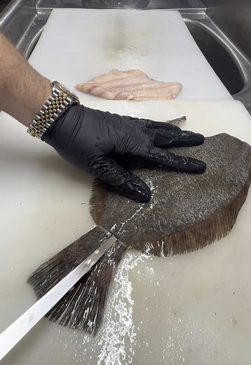 Flounder cleaning tutorial with Trey! #fishmarket #fishcleaning #fishmonger #dexterrussel #rolex #flounder #floundercleaning #flounder #easternnccheck #northcarolinacheck #easternNC #fish #fyp