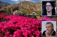 California law could force 2M homeowners to rip out gardens due to fire risk
