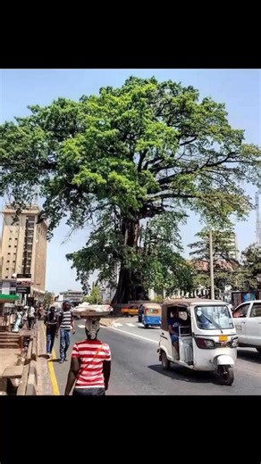 Who do we blame for this our country’ ornaments? How can we get it back on track. | Unity Broadcasting