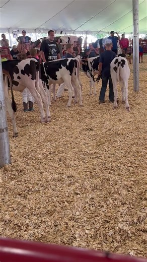 Codeman2man. on TikTok