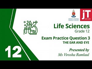 Gr 12 Life Sciences - The Ear and Eye - Exam Practice Question 3