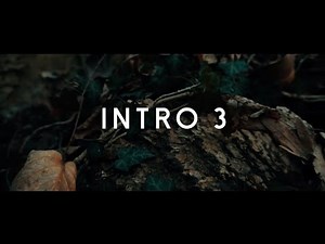 NF - Intro III Lyric Video