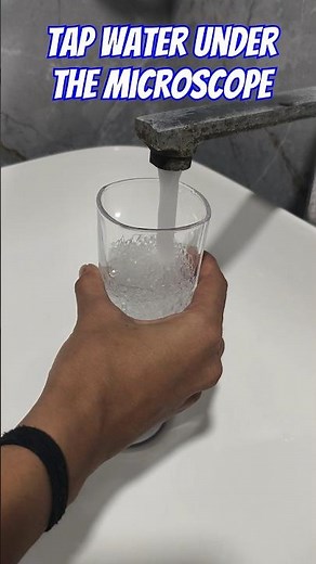 Tap water under the microscope! You will be surprised! #microscope #science #shorts #youtubeshorts