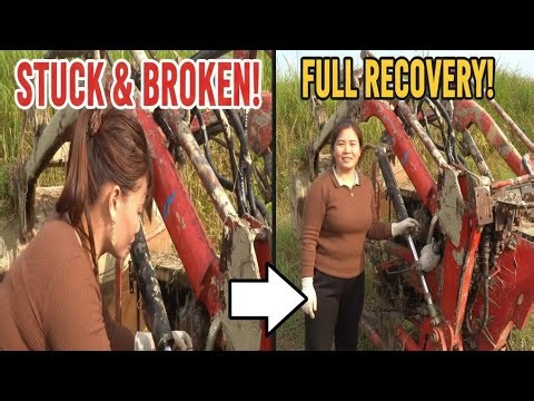 When an Excavator Gets Stuck: Full Mud Recovery Process