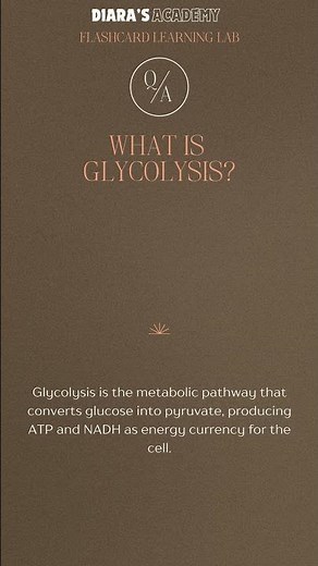 What is Glycolysis ‪@Diarasacademy‬