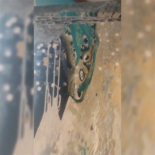 the siren gives birth to dragon.