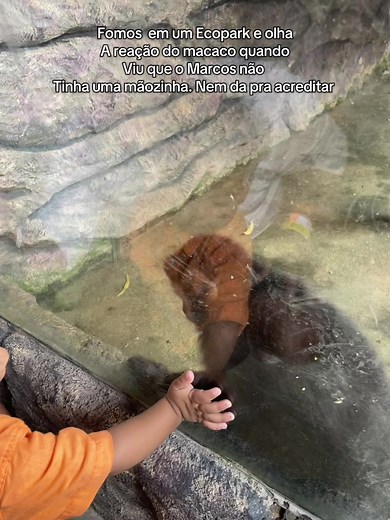 Fomos visitar um ecopark e o macaco simplesmente percebeu que o Marcos não tinha uma mãozinha e ficou super preocupado, até agora sem acreditar. #agenesia #viralvideo🔥 #bebe #baby #babyboy