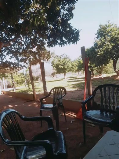 Videos de bruno (@brunosalinas310) con “sonido original - Tereré.Py🧿🚨”