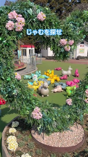 じゃむを探せ！#天橋立ビューランド #日本スピッツ