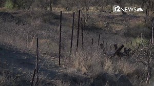 19K views · 359 reactions | An Arizona rancher believes Pres. Trump's...