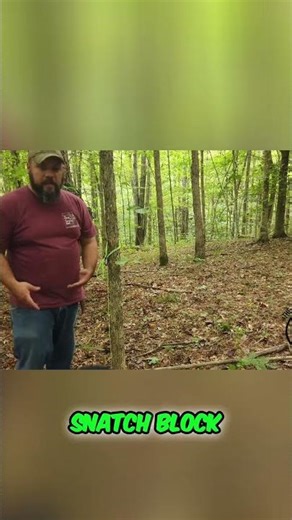 Tree Removal Secrets: Master Line Kit & Snatch Block! #shorts