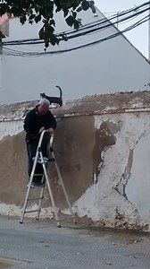 To „tylko” starszy pan na drabinie, który codziennie dokarmia bezdomne zwierzęta. A tak naprawdę cichy bohater. 🥹 Ogromny szacunek dla każdego, kto ma w sobie tyle serca i troski.❤ | Damian Żurawski