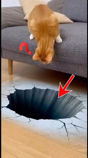 Cat Falls for a Fake Floor Hole… and Completely Freaks Out! 😹💥