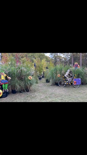 DOUG YOUNG NURSERY, LLC on Reels