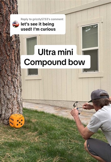 Replying to @grizzly5733 🎯 ULTRA MINI Compound Bow 🎯 #hunting #hunter #hunterxhunter #bowhunting #targetpractice @Sport Partner