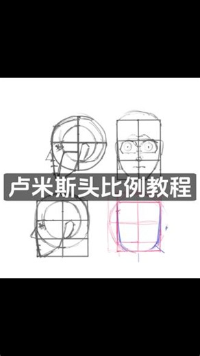 卢米斯头部比例小教程📝 #绘画教程 #基础教学#卢米斯头像画法 #绘画小技巧 #绘画