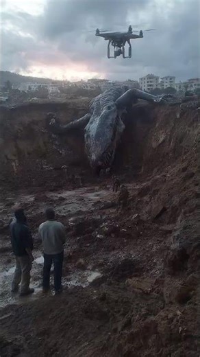 Drone Camera Captures Large Creature Emerging From Earth Opening