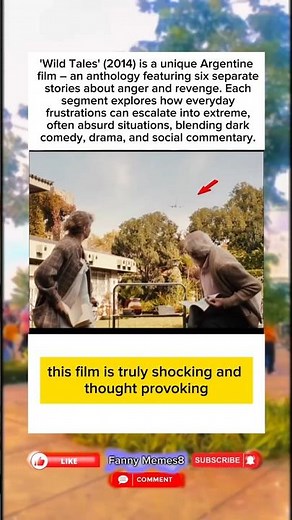 During Wild Tales (2014) – 6 Stories of Revenge & Chaos