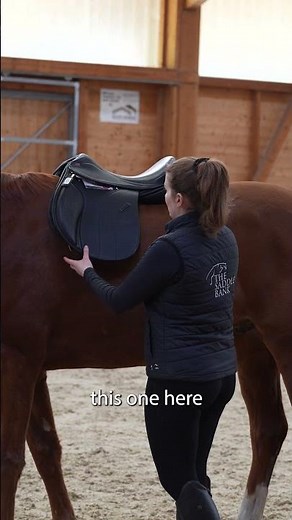 How do you know if your saddle is too narrow for your horse? 🤔🐎