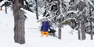 5 Best Skis for Tree Skiing in 2026 (Expert Guide)