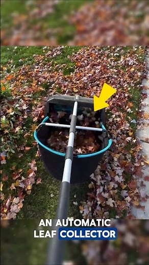 Automatic Leaf Collection Machine