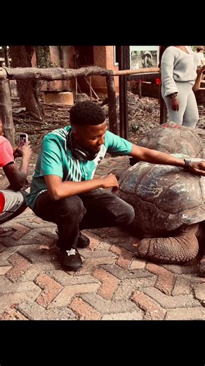 Built, Not Loud: A New Approach to Creativity