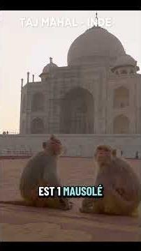 Mes plus beaux coups de cœur autour du monde #4 : Taj Mahal 🇮🇳/ Uluru 🇦🇺