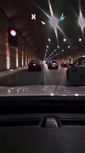 Midnight Velocity 🌙🚗 | High Speed Night Drive | Fast & Fearless #ytshorts #driving #fast #song #8k