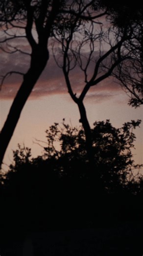 4.7K views · 200 reactions | ⚡ Natural Ride Feel – Invisible Power. The TQ-HPR60 combines the best of bio-bike and e-bike. It’s like cycling – but better! Experience precision technology Made In Germany. | TQ E-Bike | Facebook