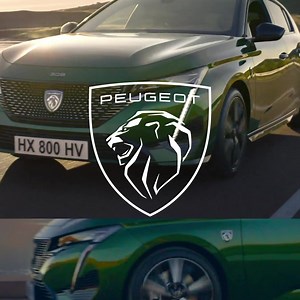 Peugeot on Reels