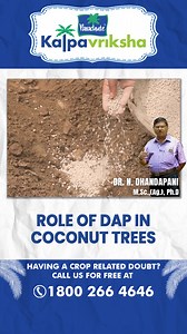 5.3K views · 313 reactions | DAP, or diammonium phosphate, is a type...