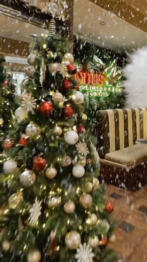 9.6K views · 83 reactions | The festive season has offically begun at THE INDUS  Be sure to book your tables in nice and early  Reservations: Tel. 01709 867560 Web. the-indus.com | The Indus restaurant & bar Conisbrough | Facebook