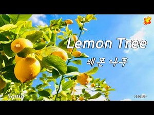 Lemon Tree, with lyrics - 레몬 나무 ( 영어 한글자막 )