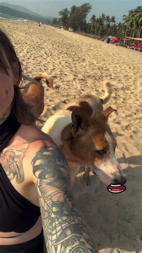 கடைசி வரைக்கும் பாருங்க 🔥🔥Trending/cheems comedy videos /pullingo cheems tag that thirutupaiyan