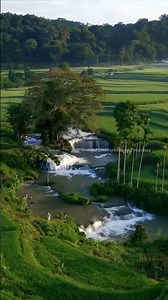 ASMR: 💚 Soothing Rice Terraces & Waterfall Sounds | Nature's Calming White Noise