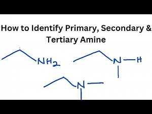 How to Identify Primary, Secondary and Tertiary Amine (Organic Chemistry)