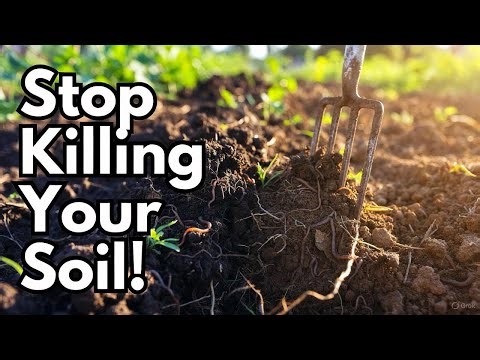 Fix Your Soil Fast 7 Proven Steps to Supercharge Your Garden Before Spring!
