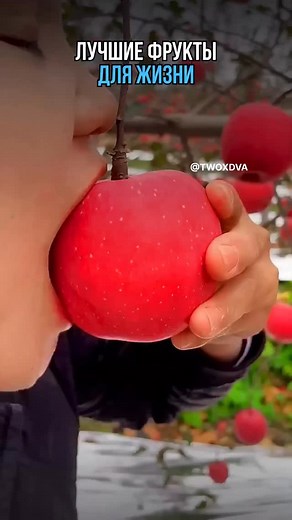 Лучшие фрукты для жизни | Дважды Два