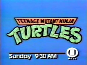 Teenage Mutant Ninja Turtles promo 1990