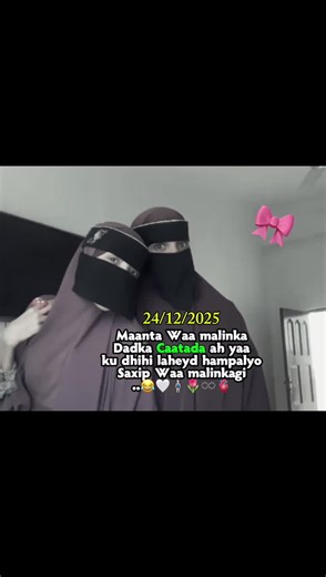 Understanding CapCut Velocity Features