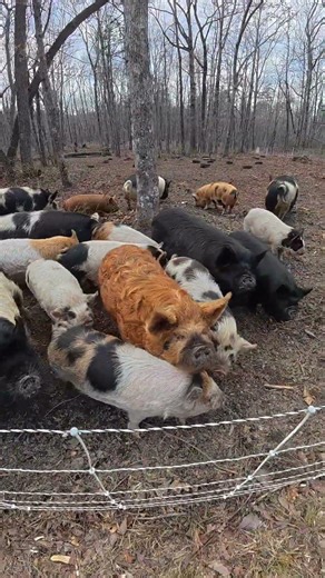 Impatiently Waiting!