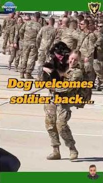 Dog Welcomes Soldier Back Home After Months Apart 🐶❤️ #shortsviral