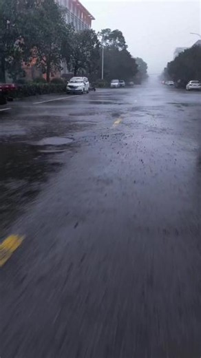 这跟开船有什么区别##白海豚 #船长