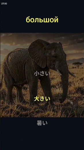 ロシア語A1基本単語 | 自然なリスニング | 必須ボキャブラリー