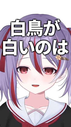 【当たり前】ブラックスワン理論【ひとさじ教養】